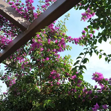 Bed & Breakfast Il Giardino *