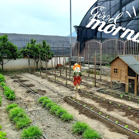 Il Giardino